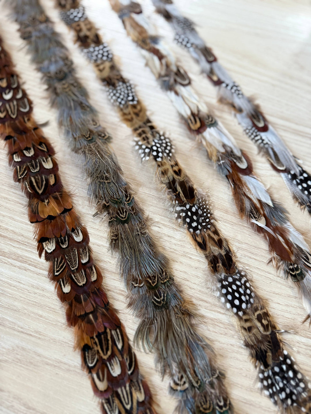 Feather Hat Band: Dark Caramel/Black