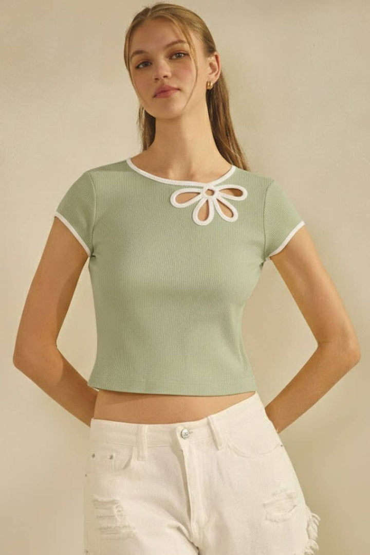 Cropped Short Sleeve Knit Top