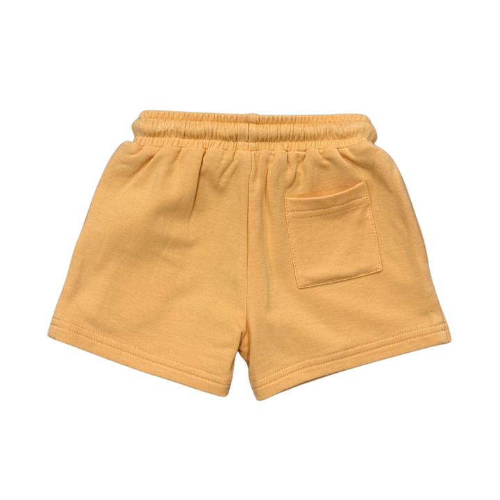Babysprouts Boy's Everyday Shorts: Storm Cloud