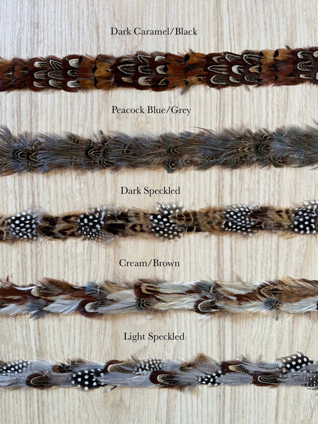 Feather Hat Band: Cream/Brown