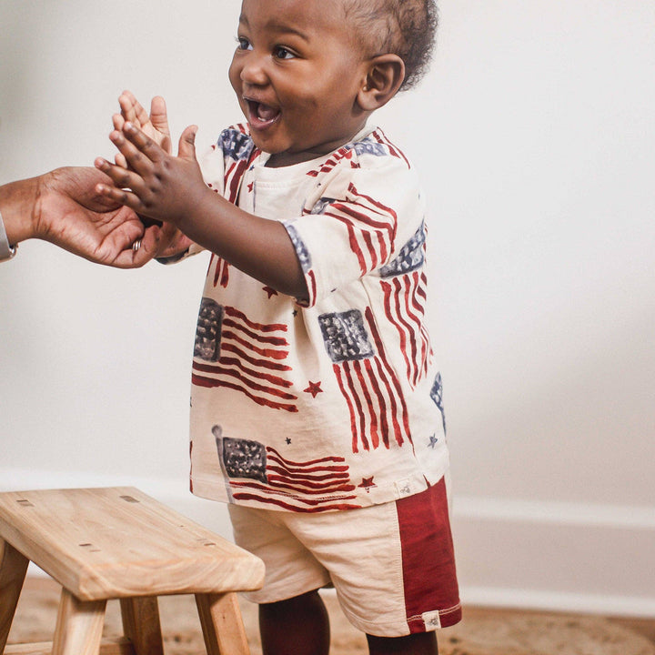 American Flag Boys Tee & Shorts Set