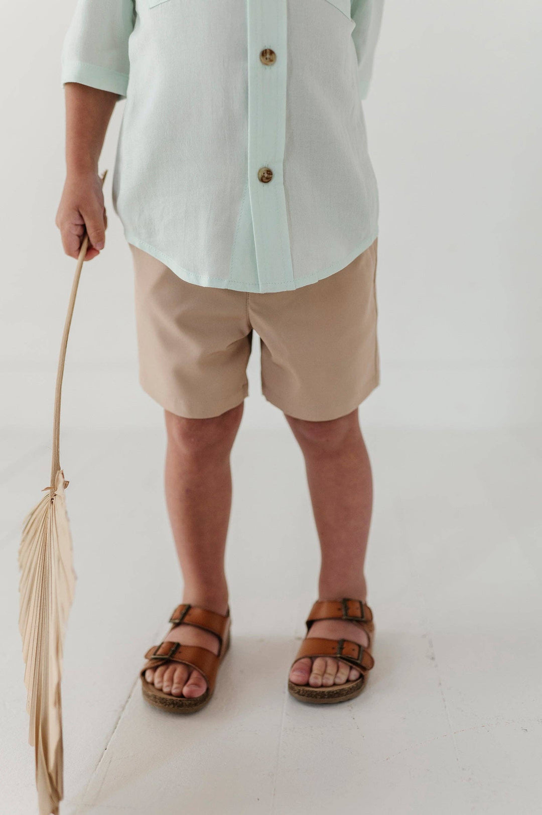 Babysprouts Boy's Dressy Shorts: Khaki