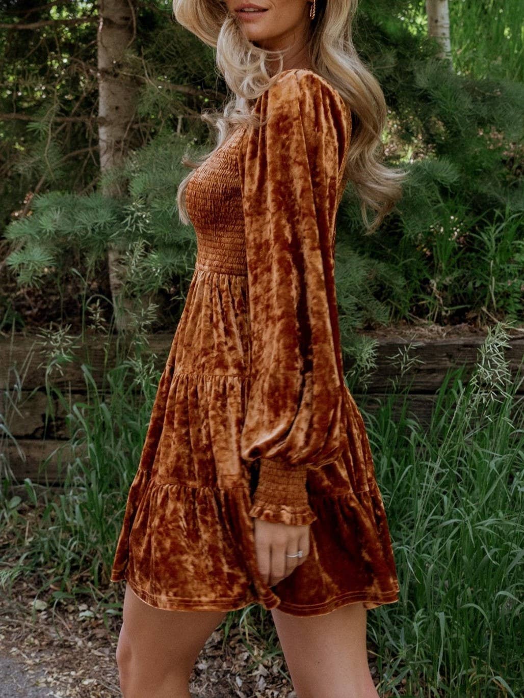 Velvet Ruffled Crewneck Dress: Brown / S